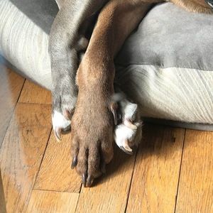 Meet your Posher, Gina